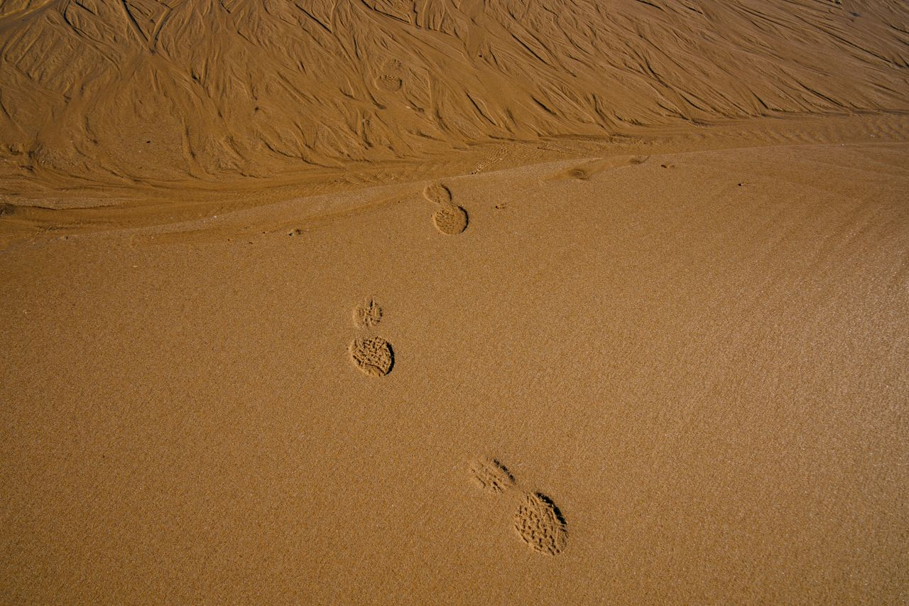 Footprints in the sand on a sunny beach, creating a serene and minimalist composition.