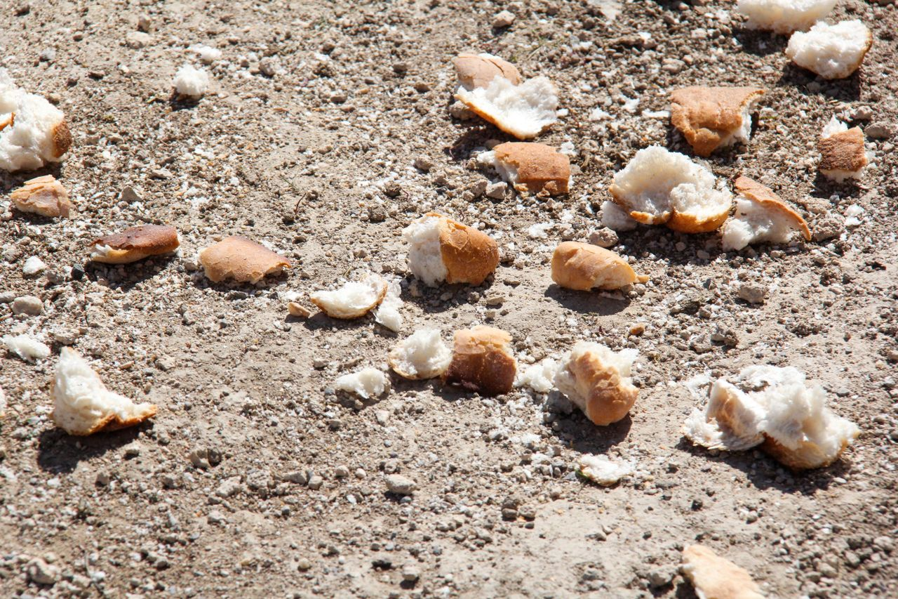 Crumpled pieces of bread scattered on a sandy ground in bright daylight.